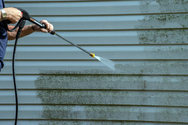 Deck Cleaning Services in Palos Park, IL