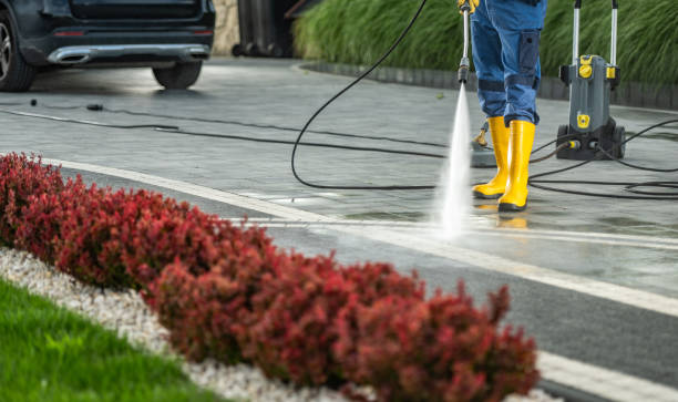 Best Commercial Building Pressure Washing  in Palos Park, IL