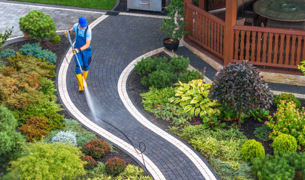 Best Affordable Pressure Washing  in Palos Park, IL